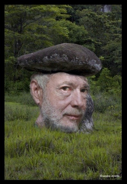 coronado con megalito